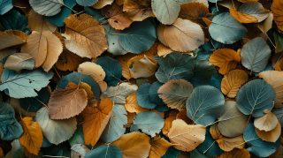 Nature's Brushstrokes: Autumn Leaves Art