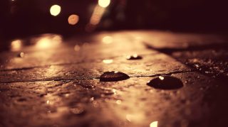 Rainy Evening Glow: Street Lamps in Autumn