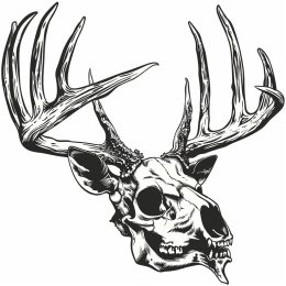 Stylish Deer Skull Logo for Alternative Brands