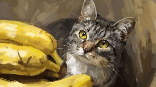 Free Banana Cat Wallpaper for Desktop