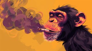 Funny Cartoon Monkey Smoking Pipe Picture