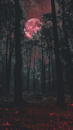 Gothic Charm iPhone Wallpaper