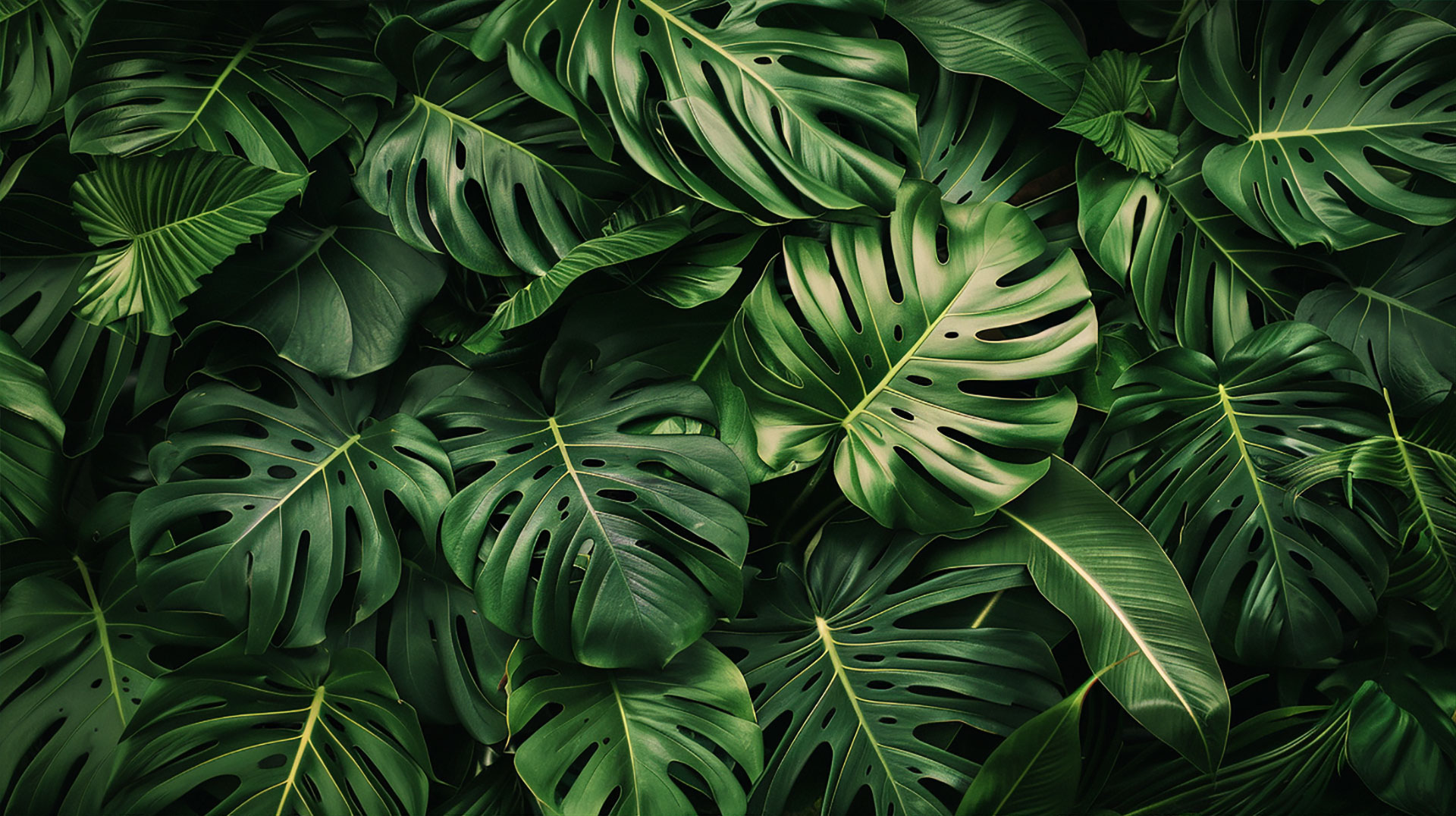 Elegant Dark Vintage Laptop Wallpaper