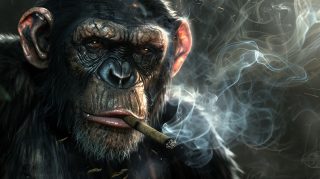 1920x1080 Smoking Monkey: AI Wallpaper Download