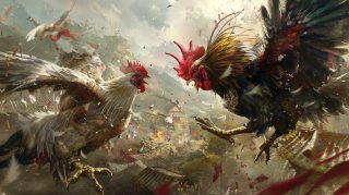 Download rooster fight HD wallpaper for PC