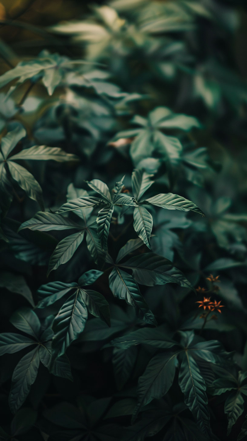 Rich Dark Green Vintage Mobile Wallpaper
