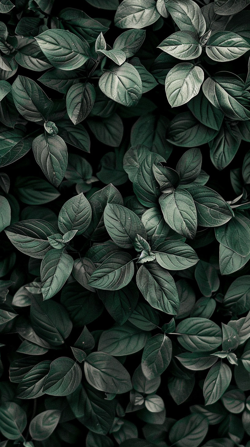 Antique Dark Green Aesthetic Mobile Wallpaper