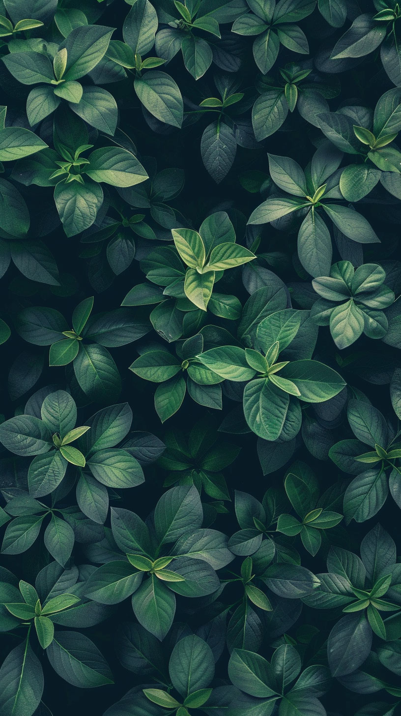 Nostalgic Dark Green Mobile Background