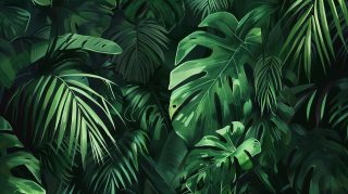 Antique Dark Green Aesthetic Wallpaper