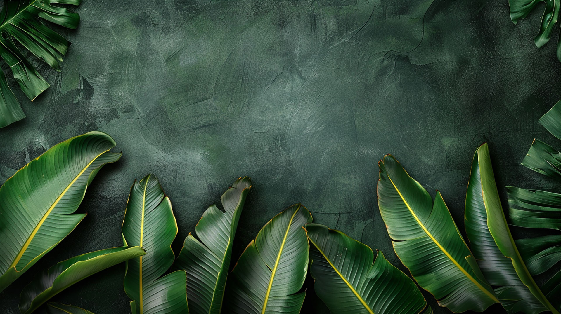 Atmospheric Dark Green Vintage Desktop Image