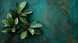 Elegant Dark Green Vintage Computer Wallpaper