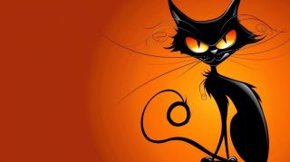 Cartoon Black Cat HD Wallpaper for Desktop Background